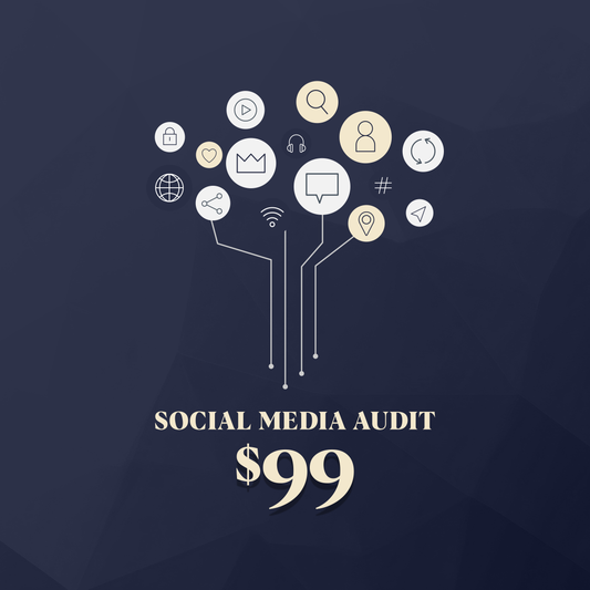 Social Media Page Audit